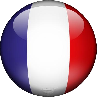 Fran&ccedil;ais